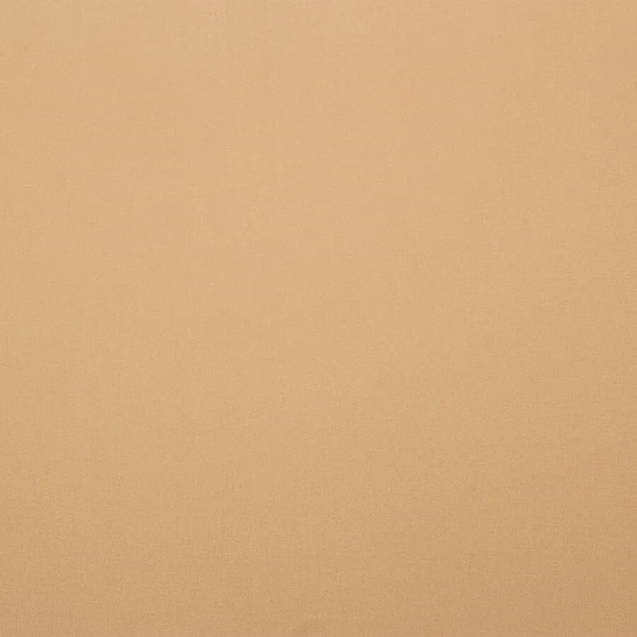 Sand Silk Georgette