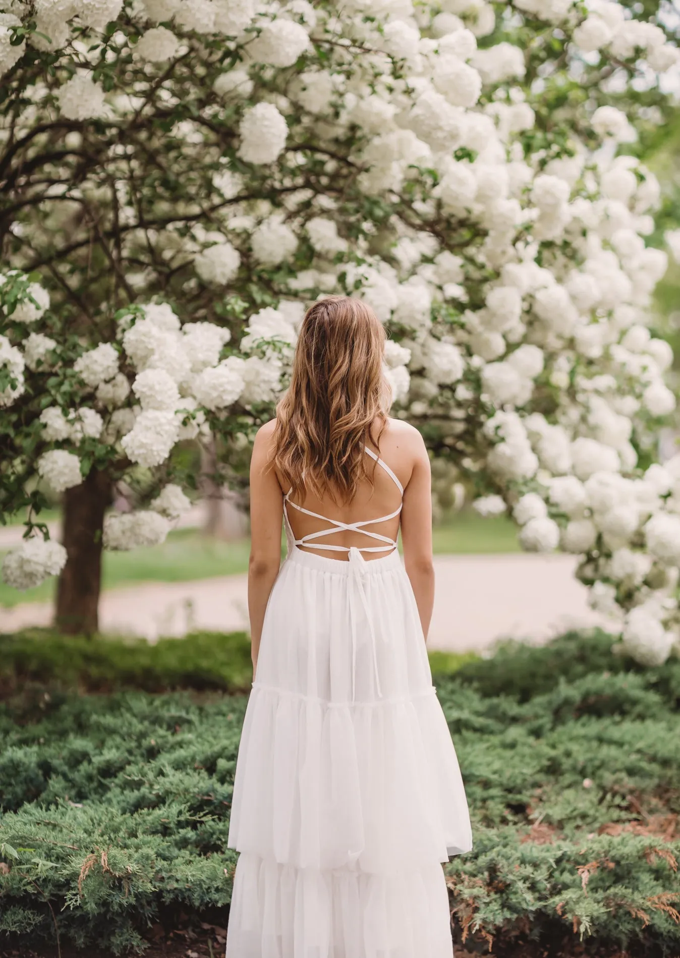 Women's Wendy Embroidered Dress (white tulle)
